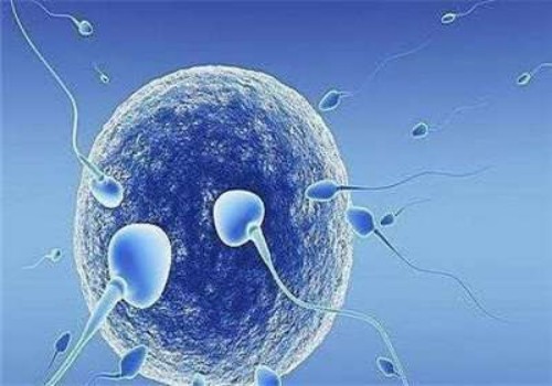 北京助孕代怀服务：﻿详述3aa囊胚移植成功率，跟患者自身情况有关