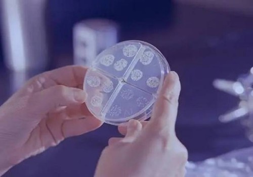 青岛妇女儿童医院全面解析，一家综合实力强的三甲医院