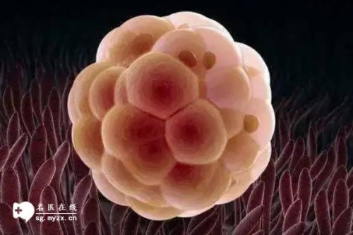 河源正规助孕机构：未婚女性去泰国做供精试管价格介绍，附助孕费用明细