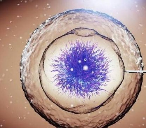 河源试管助孕公司：卵泡不破并不会影响月经，月经也会来的