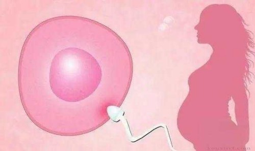 河源试管助孕价格：知识科普：弓形子宫凹陷多少毫米算严重？附预防方法